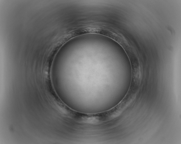 X0000115680553200911121248