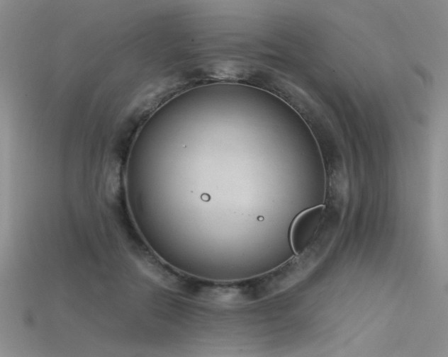 X0000115680554200911121248