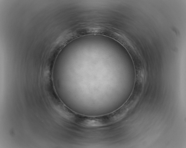 X0000115680557200911121249