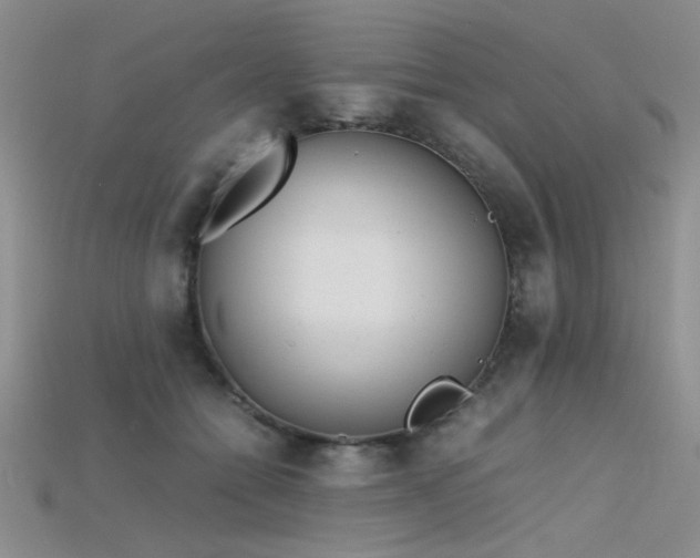 X0000115680558200911121249