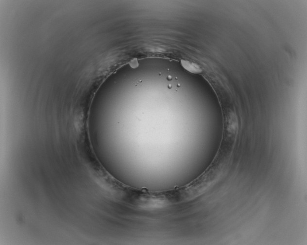 X0000115680559200911121249