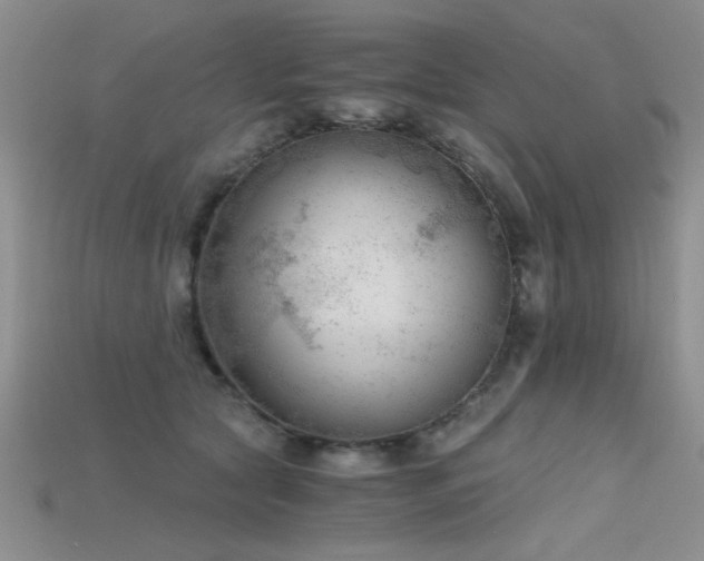 X0000115680561200911121249