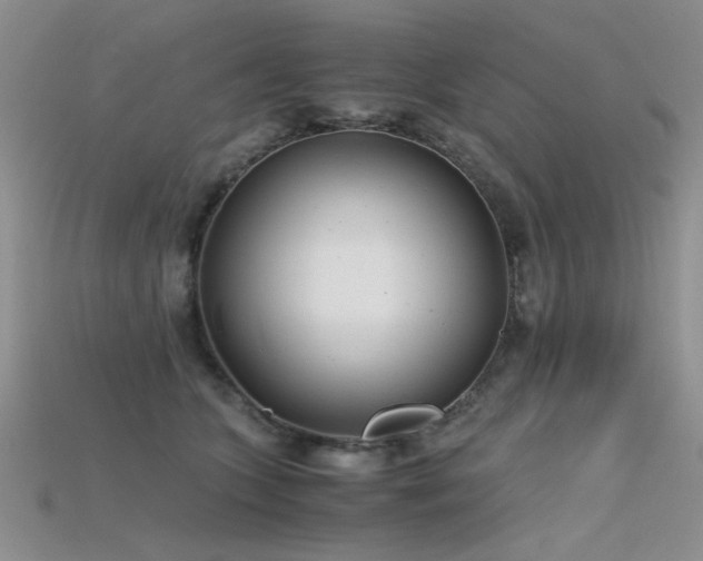 X0000115680563200911121249