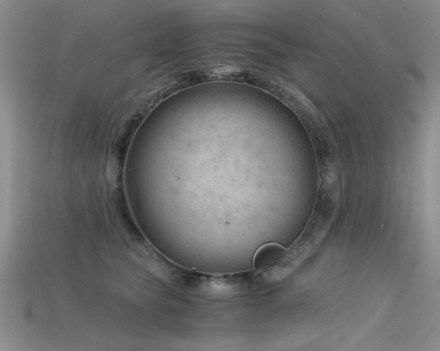 X0000115680565200911121249