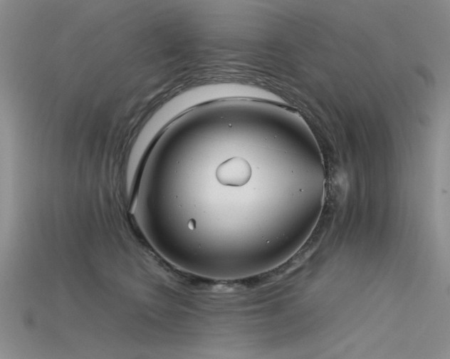 X0000115680566200911121249