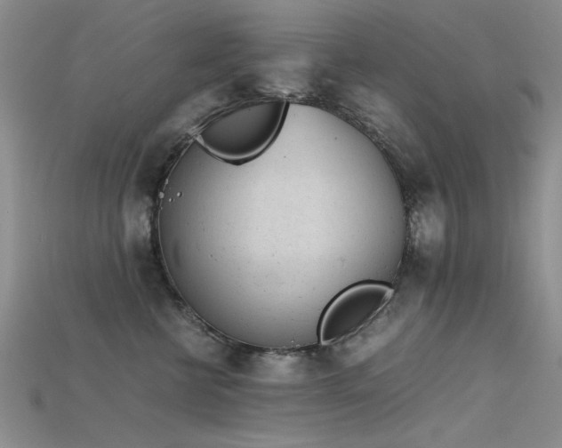 X0000115680570200911121249