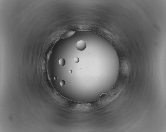 X0000115680571200911121249