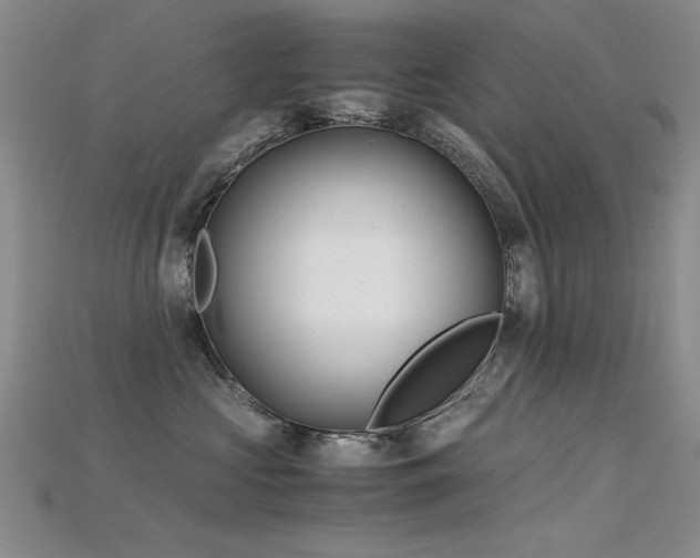 X0000115680573200911121249