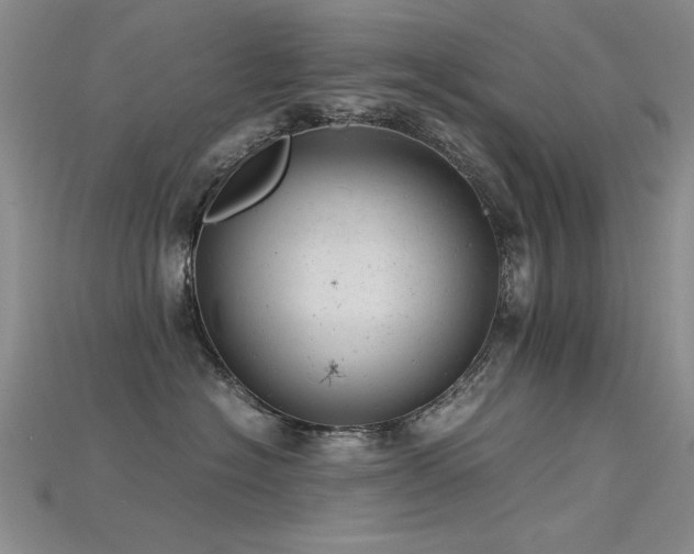 X0000115680574200911121249