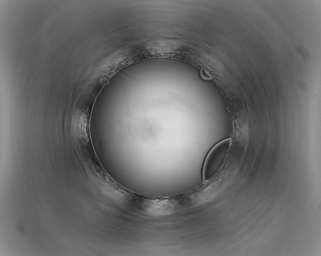 X0000115680575200911121249