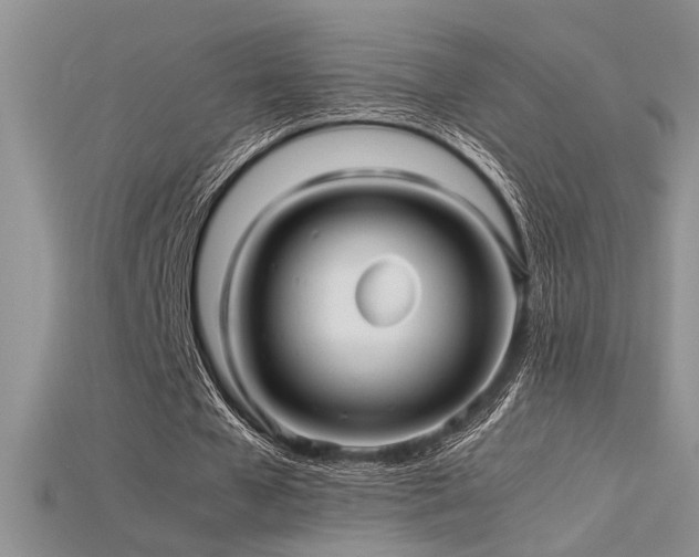 X0000115680577200911121248