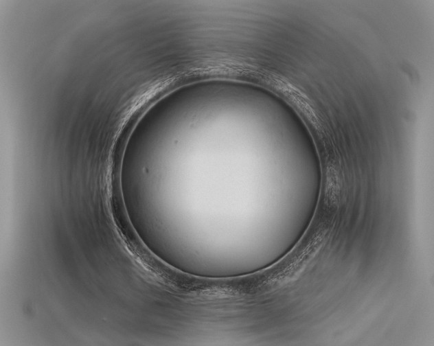 X0000115680578200911121248