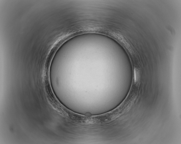 X0000115680579200911121248