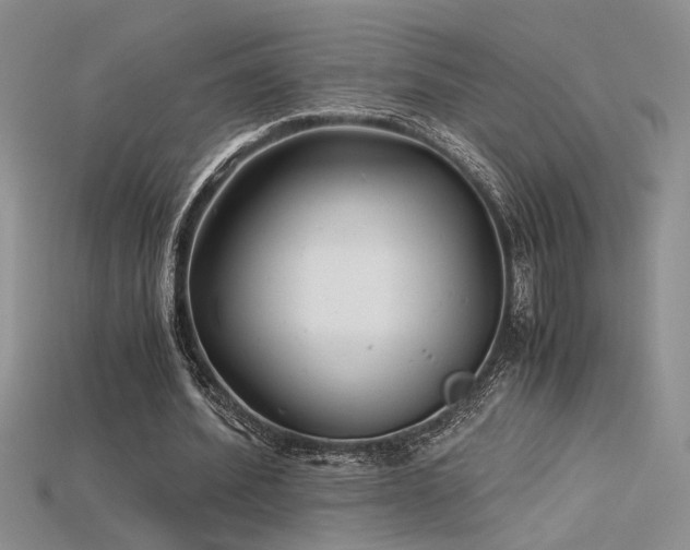 X0000115680580200911121248