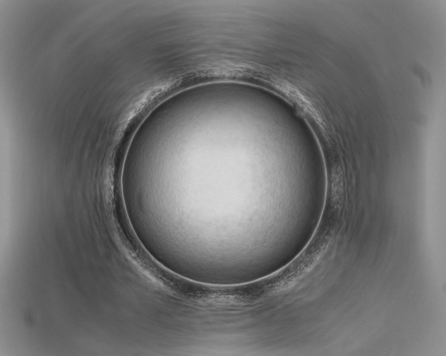 X0000115680581200911121248