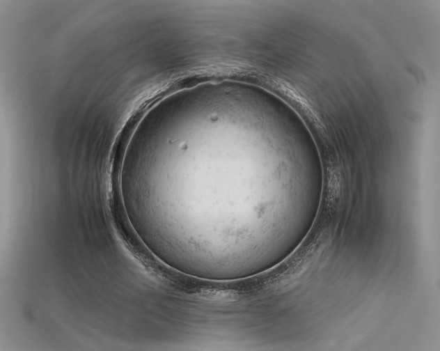 X0000115680582200911121248