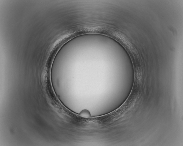 X0000115680583200911121248