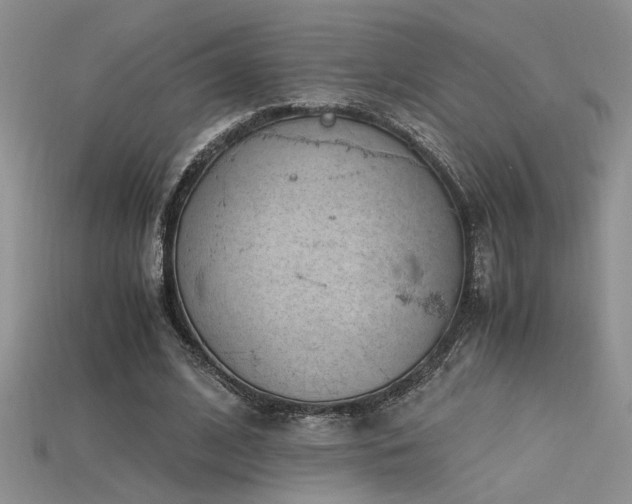 X0000115680584200911121248