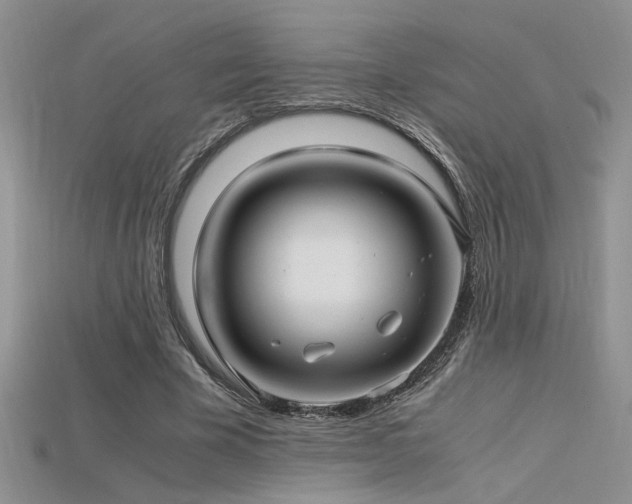 X0000115680585200911121248