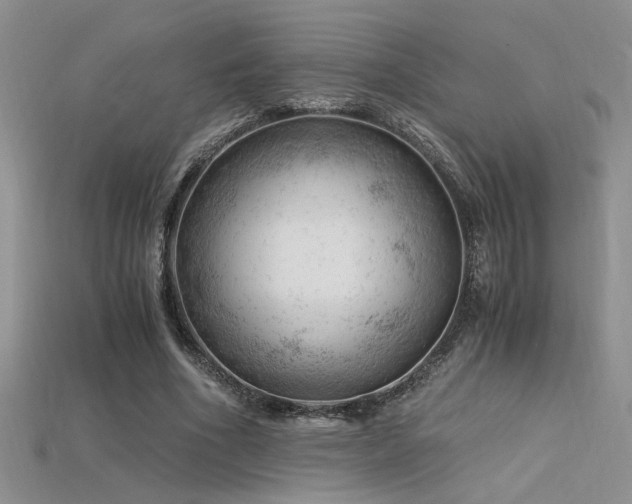 X0000115680586200911121248