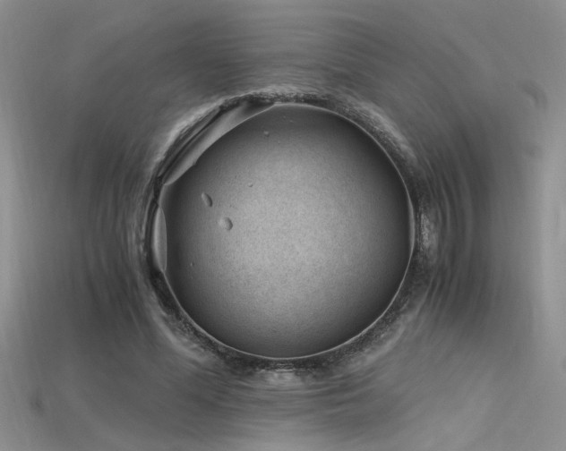 X0000115680588200911121248