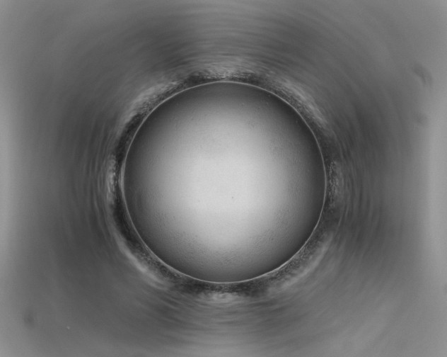 X0000115680590200911121248