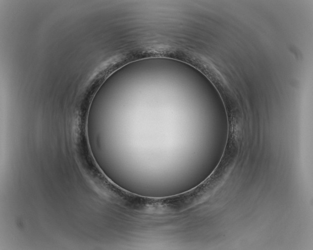 X0000115680591200911121248