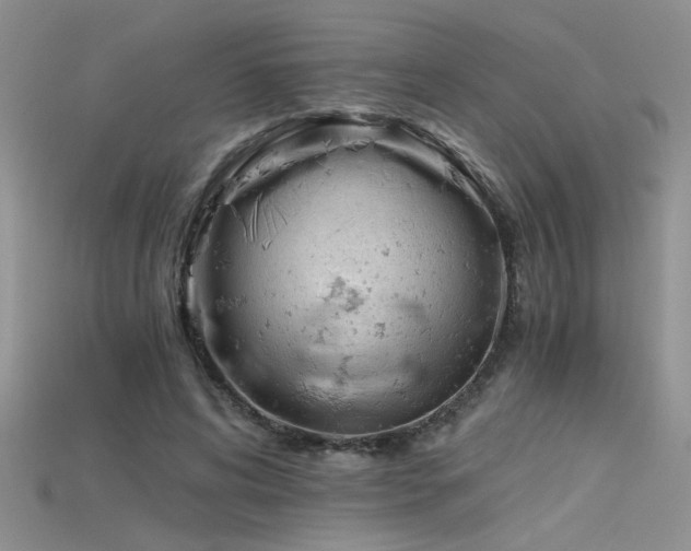 X0000115680592200911121248