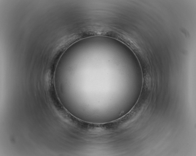 X0000115680594200911121248