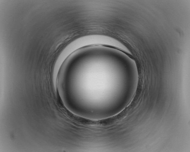 X0000115680595200911121248