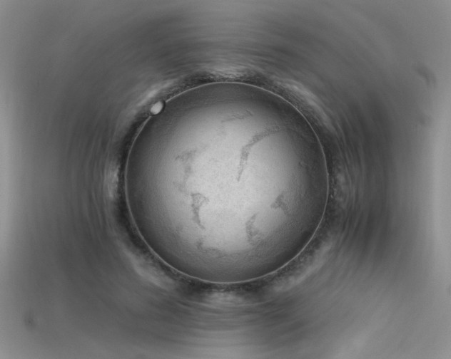 X0000115680596200911121248