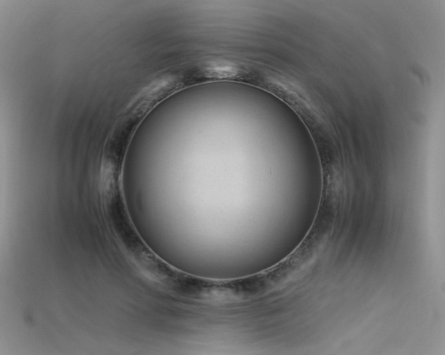 X0000115680598200911121248