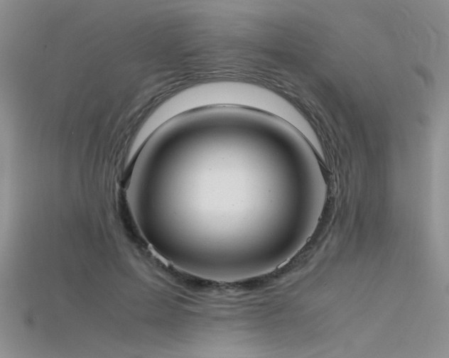 X0000115680599200911121248