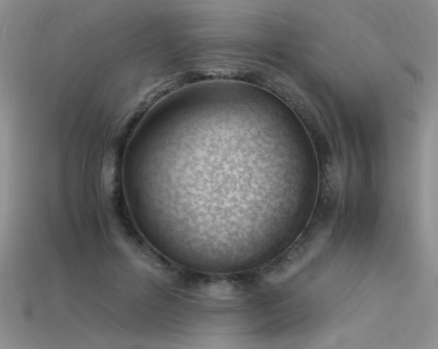 X0000115680600200911121248