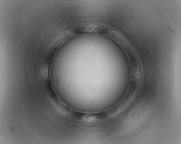 X0000115680602200911121248