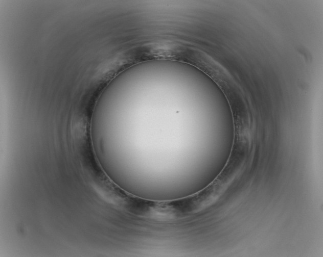 X0000115680603200911121248