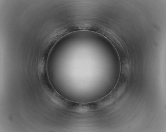 X0000115680604200911121248