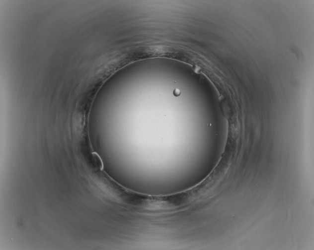 X0000115680605200911121248