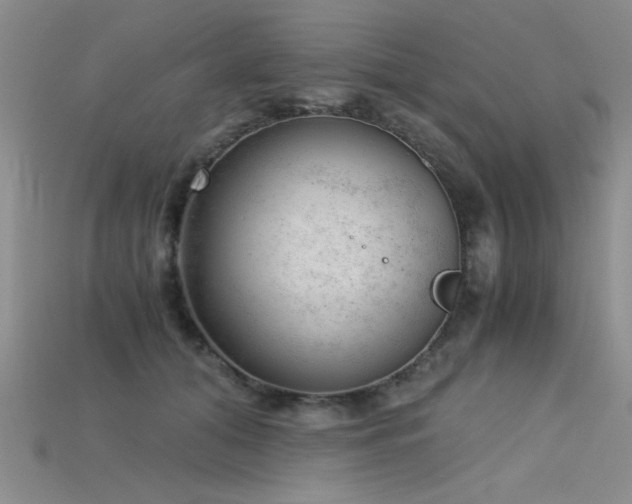 X0000115680608200911121248