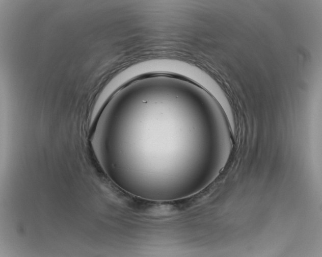 X0000115680609200911121248