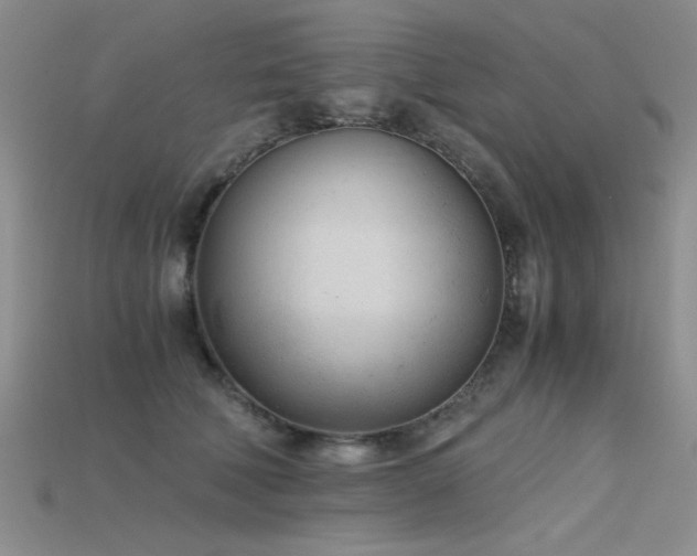 X0000115680610200911121248