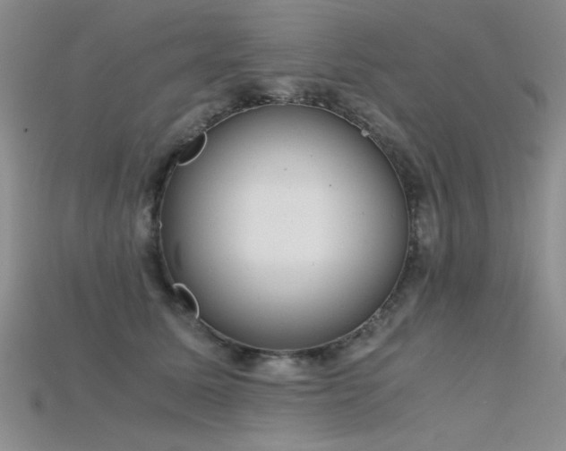 X0000115680611200911121248