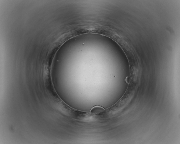 X0000115680612200911121248