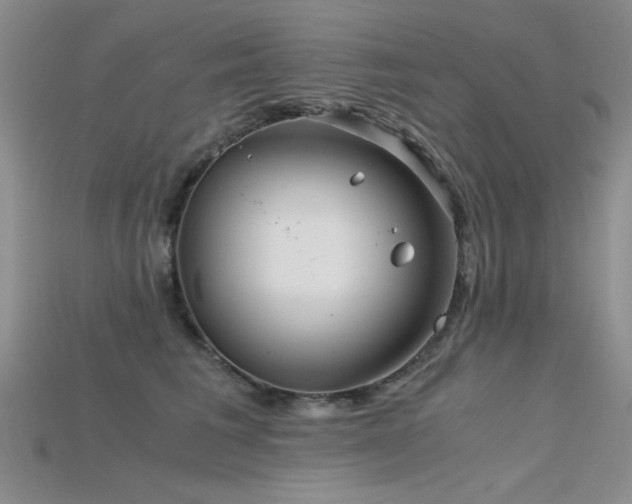 X0000115680613200911121248