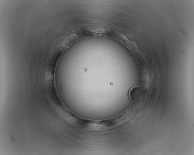 X0000115680614200911121248