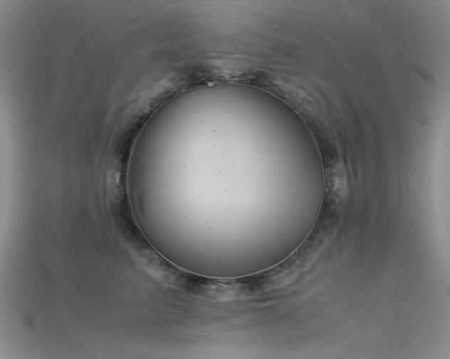 X0000115680615200911121248