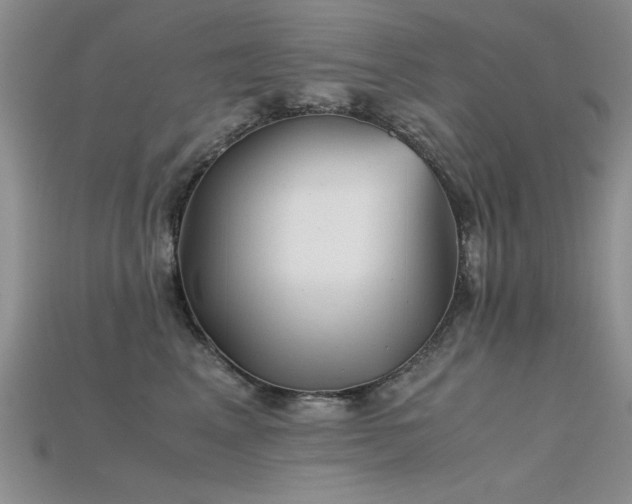 X0000115680617200911121247