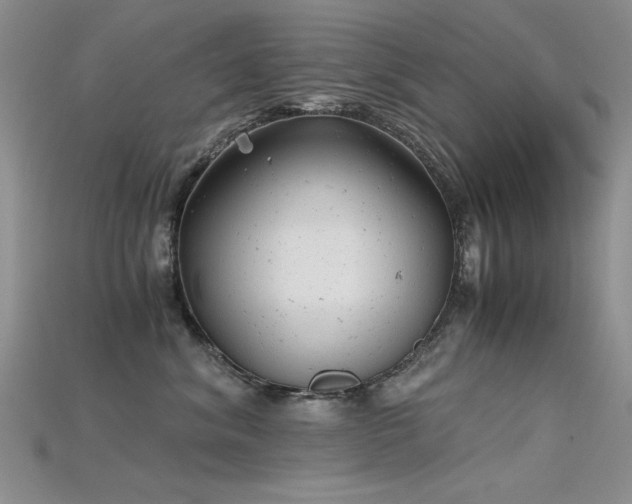 X0000115680620200911121247