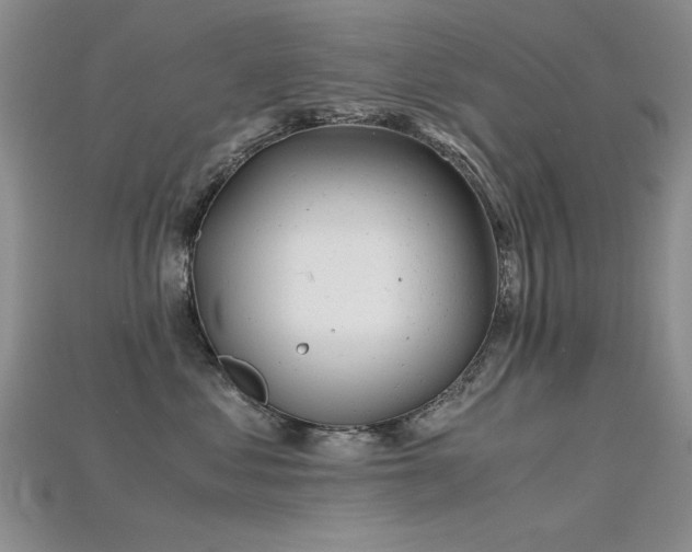 X0000115680621200911121247