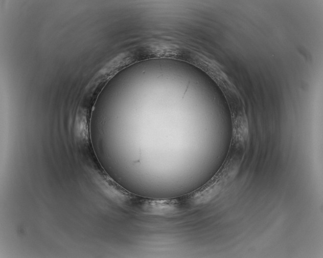 X0000115680622200911121247